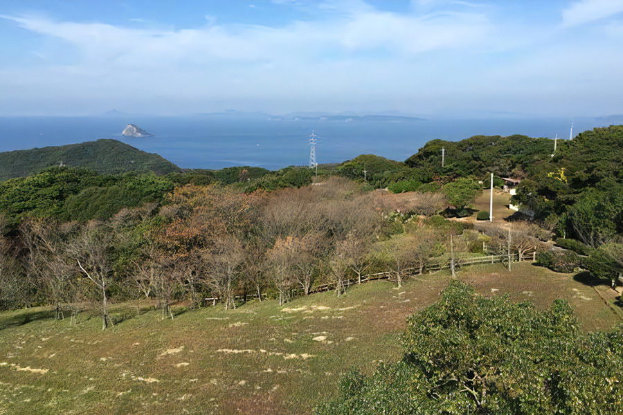 民宿　椿の宿